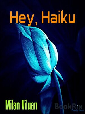 cover image of Hey, Haiku